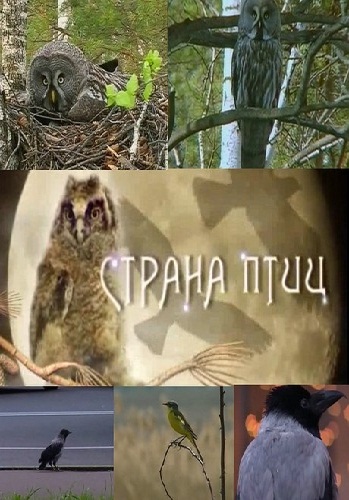 Страна птиц. Глухариные сады