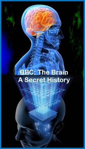 Мозг. Тайны сознания (1-3 серии из 3) / BBC. The Brain. A Secret History DVO