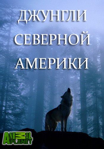 Джунгли Северной Америки / Yankee jungle VO
