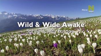 Пробуждение дикой природы - европейская весна (1-2 серии из 2) / Wild Wide Awake - Spring Across Europe DUB