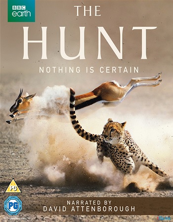 Охота (1-7 серии из 7) / BBC: The Hunt DVO