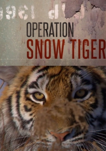 По следам уссурийского тигра (01-02 серии из 2) / Operation Snow Tiger VO