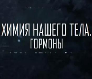 Химия нашего тела. Гормоны (Эфир от 19.01.2016)