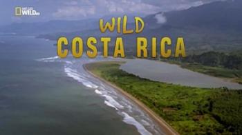 Дикая природа Коста-Рики / National Geographic. Wild Costa Rica DUB