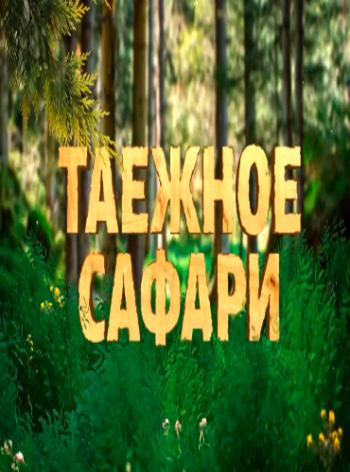 Таежное сафари