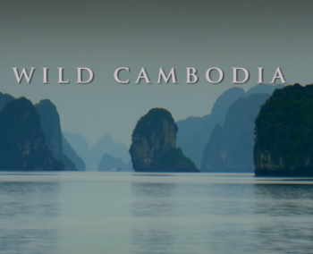Дикая природа Индокитая. Дикая Камбоджа / National Geographic. Wild Cambodia DUB