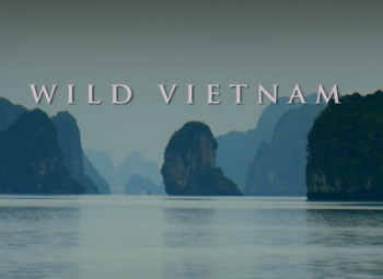Дикая природа Индокитая. Дикий Вьетнам / National Geographic. Wild Vietnam DUB