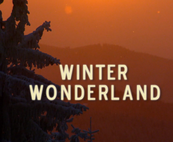 Зимняя страна чудес / NAT GEO WILD. Winter Wonderland DUB