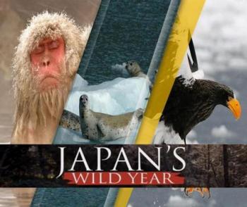 Дикие животные Японии / NAT GEO WILD. Japan's Wild Year DUB