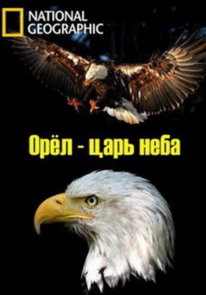 Орёл - царь неба / NAT GEO WILD. The Eagles DUB