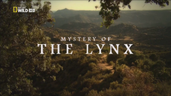 Загадка иберийской рыси / NAT GEO WILD. Mystery of the Lynx DUB