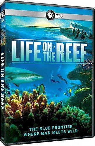 Жизнь на Большом Барьерном рифе (1-3 серии из 3) / NAT GEO WILD. Life on the Barrier Reef DUB