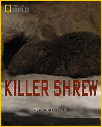Землеройка-убийца / NAT GEO WILD. Shrew Killer DUB