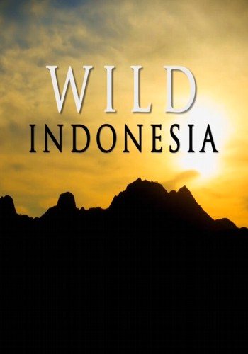 Дикая природа Индонезии (1-3 серии из 3) / NAT GEO WILD. Wild Indonesia DUB