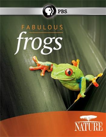 Удивительные лягушки / PBS. Fabulous Frogs VO