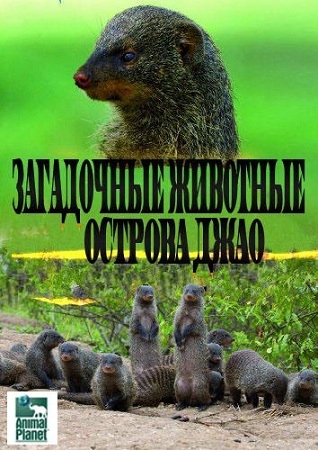 Загадочные животные острова Джао (1-7 серии из 7) / Animal Planet. The Secret Creatnres of Jao VO