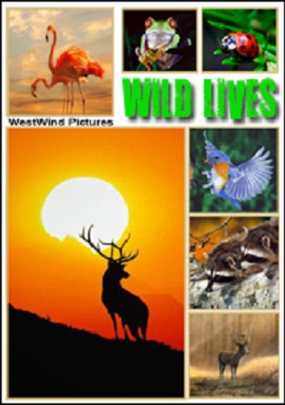 Великая книга природы (1-10 серии из 10) / Wild Lives VO