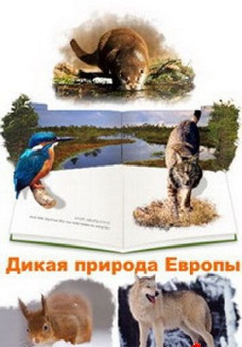 Дикая природа Европы (1-16 серии из 16) / Planet Europa DUB