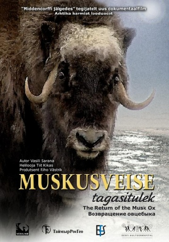 Возвращение овцебыка / Muskusveise tagasitulek VO