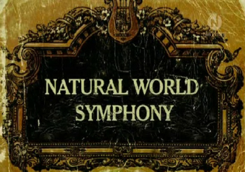 Симфония мира природы / Natural World Symphony
