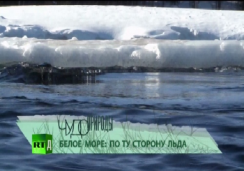 Чудо природы. Белое море: по ту сторону льда