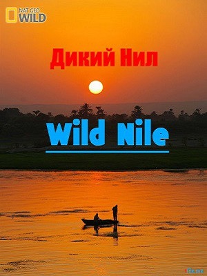 Дикий Нил (1-3 серии из 3) / NAT GEO WILD. Wild Nile DUB