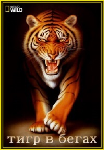 Тигр в бегах / NAT GEO WILD. Tiger on the Run DUB