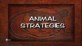 Стратегии животных (1-6 серии из 6) / Animal Strategies VO