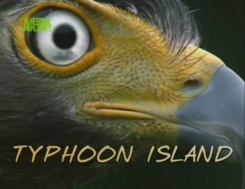 Остров Тайфунов / BBC. Typhoon Island VO