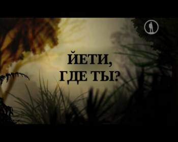 Йети, где ты? DVO
