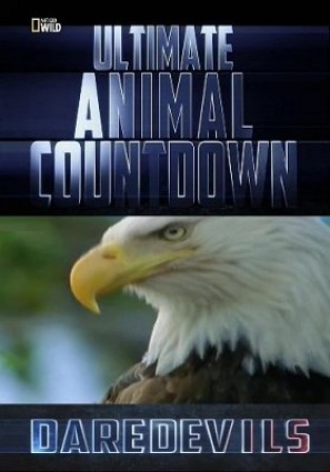 Животные-рекордсмены. Сорвиголовы / NAT GEO WILD. Ultimate Animal Countdown: Daredevils VO