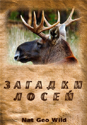 Загадки лосей / Mysteries Of The Moose VO