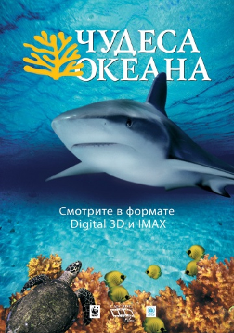 Чудеса океана / Ocean Wonderland DUB