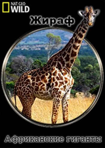 Жираф: Африканские гиганты / Giraffe. African Gian DUB
