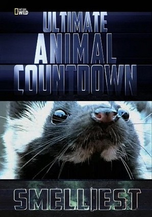 Животные-рекордсмены: Самый сильный запах / NAT GEO WILD. Ultimate Animal Countdown: Smelliest VO