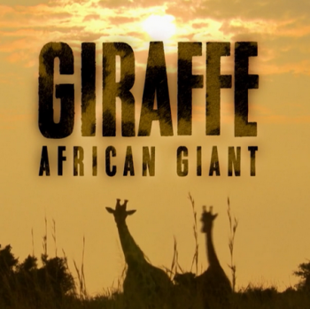 Жираф. Африканские гиганты / NAT GEO WILD. Giraffe. African Giant DUB