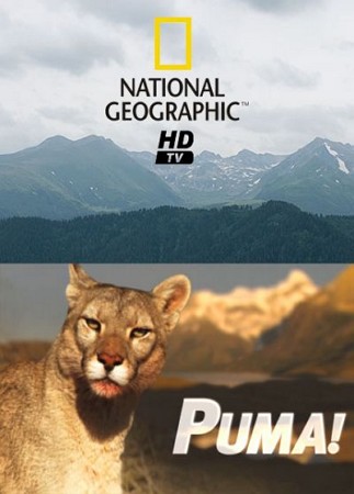 Пума! / NAT GEO WILD. Puma! VO