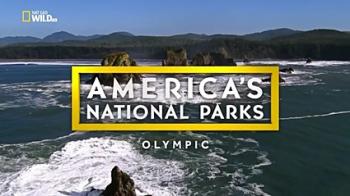 Национальные парки Америки. Олимпик / NAT GEO WILD. America's National Parks. Olympic DUB