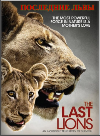 Последние львы / National Geographic. The Last Lions VO