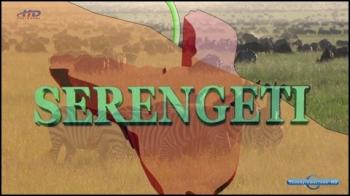 Дикая жизнь Серенгети (1-2 серии из 2) / Widlife The Serengeti VO