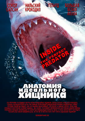 Анатомия идеального хищника / Inside the Perfect Predator VO
