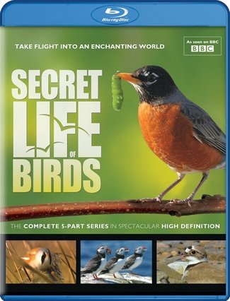 Тайная жизнь птиц (1-5 серии из 5) / Secret Life of Birds VO