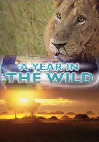 Дикая природа и времена года (1-5 серии из 5) / A Year in the Wild DUB