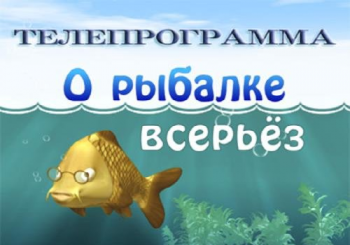 О рыбалке всерьёз . Мастер-класс по фидеру