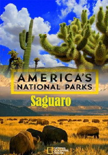 Национальные парки Америки. Сагуаро / America's National Parks. Saguaro DUB