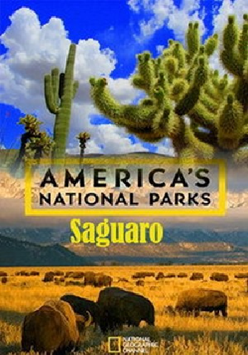 Национальные парки Америки. Сагуаро / America's National Parks. Saguaro DUB