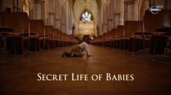 Тайная жизнь детей / Secret Life of Babies
