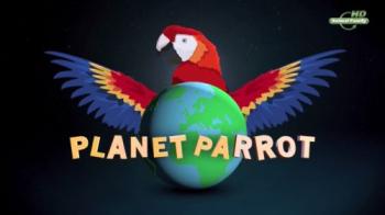 Планета попугаев / Planet Parrot VO
