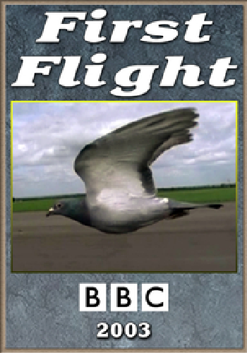Первый полет / First Flight VO
