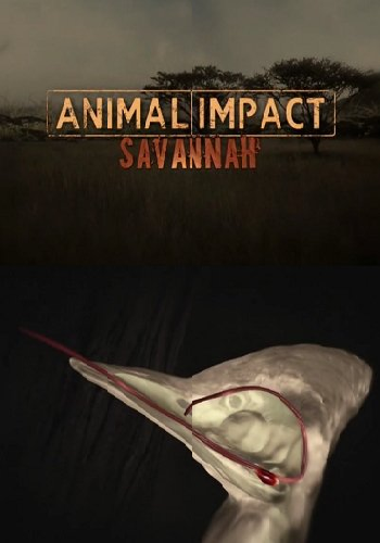 Природная инженерия: выживание в саванне / Animal Impact: Savannah VO